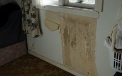 Mould on wallpaper