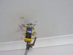 Elevated readings on black mould 